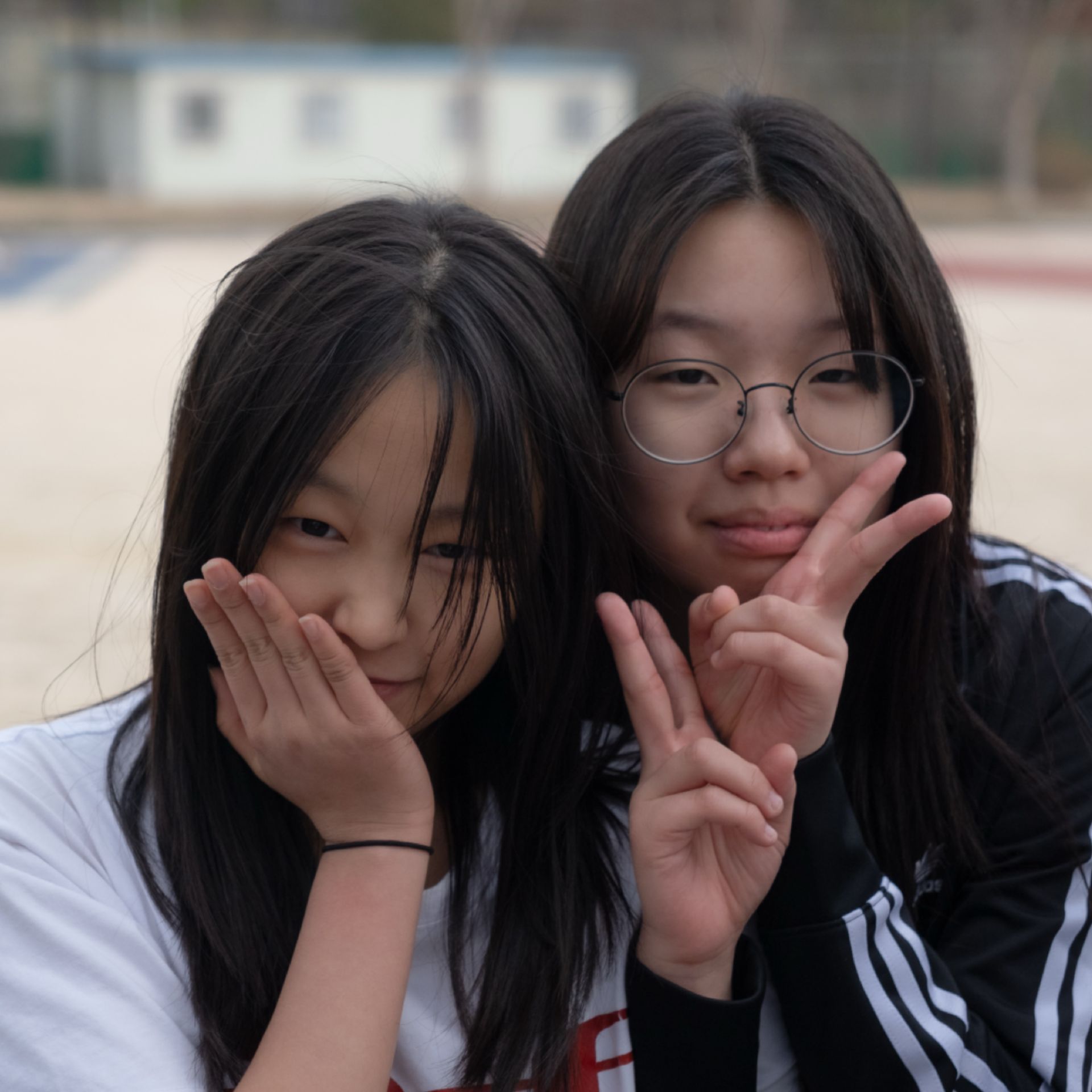 미디어 68
